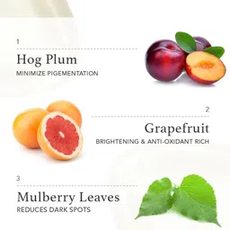 RAS LUXURY OILS Flaunt Pigmentation & Colour Correcting Serum with Mulberry Extract - 25ml image 3