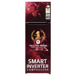 LG 242 Litres 2 Star Frost Free Double Door Refrigerator with Anti Bacterial Gasket (GLN292BSEY, Scarlet Euphoria)-image-68