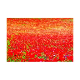 Inephos Red & Orange Canvas Flower Field Painting Wall Art-image-93