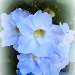 Inephos Blue & Green Flower Canvas Painting Wall Arts-image-59