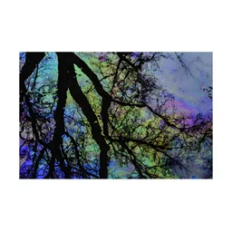 Inephos Black 1 Piece Canvas Abstract Wall Paintings-image-47