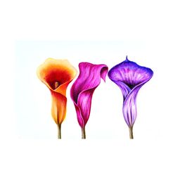 Inephos Orange Colured & Purple Canvas Floral Wall Paintings-picture-6