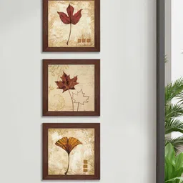 Art Street Brown & Beige Floral and Botanical Printed Set of 3 Wall Art-image-47