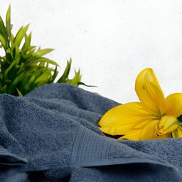 GAB Grey 500 GSM Cotton Bath Towel-image-25