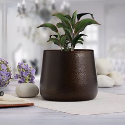 Homspurts Long Dish Planter Brown Powder Coated Metal Planter-image-76