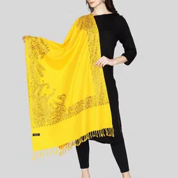 SWI Stylish Ethnic Motifs Aari Embroidered Shawl-image-18
