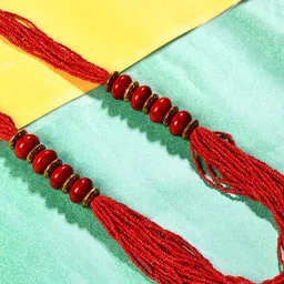Bamboo Tree Jewels Orange Afghan Necklace-image-89