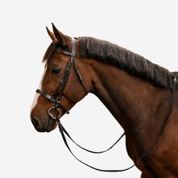 Horse & Pony Leather Bridle Noseband & Reins 100 Black-image-69