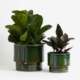 H&M Green Extra-Large Terracotta Plant Pot-19