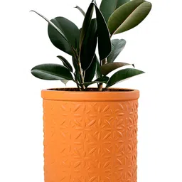 LASAKI Orange Textured Ceramic Planter-picture-3
