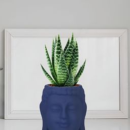LASAKI Navy Blue Buddha Textured Ceramic Planter-image-69