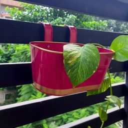 ecofynd Railing Planter Pink Metal Oval Balcony Hanging Planter-13