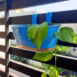 ecofynd 6 Pcs Blue Metal Oval Balcony Hanging Planter-20
