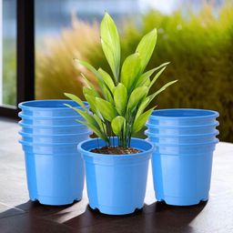 Kuber Industries Pack Of 10 Blue Planters-44