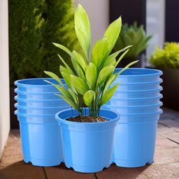 Kuber Industries Pack Of 12 Blue Planters-56