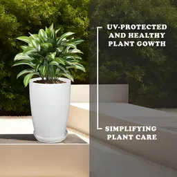 Kuber Industries White 5 Pieces Flower Planters With Plate image 3