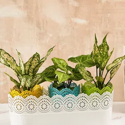 DecorTwist Textured Metal Planter-image-38