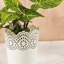 DecorTwist White Metal Planter-image-6