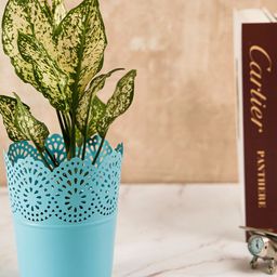 DecorTwist Metal Planter Pot-image-34