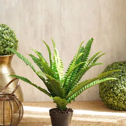 Pure Home and Living Green Artificial Boston Ferns Plants-49