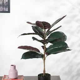 Home Bloom Red Rubber Artificial Plant With Pot-34