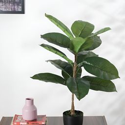 Home Bloom Green & Black Rubber Artificial Plant With Pot-38