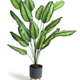 HABERE INDIA Green 1 Pieces Calathea Artificial Plant With Pot-4