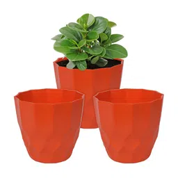 Kuber Industries Orange 3 Pieces Barfi Flower Planters-12