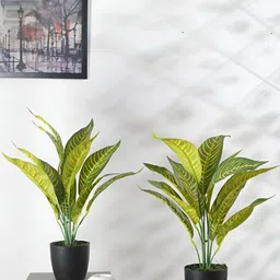 Home Bloom Yellow 2 Pieces Croton Artificial Plants With Pots-39