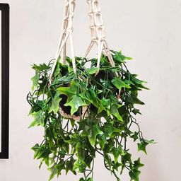 Homesake Green Hanging Plant Fake Star Hanging Plants with Metal Pots-image-42