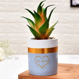 TAYHAA Green & Blue Printed Sucullent Artificial Plant With Pot-34