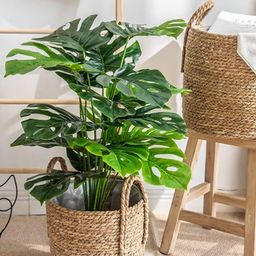 Homesake Green Faux Tropical Plant With Out Pot-image-61