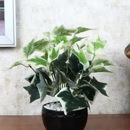 FOLIYAJ Green & Black Faux Ivy Plant With Pot-image-91