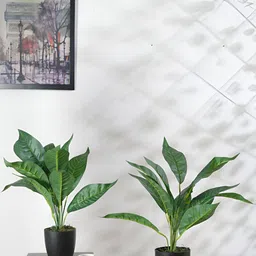 Home Bloom Green 2 Pieces Croton Artificial Plant With Pot-35