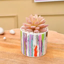 TAYHAA White & Pink Striped Sucullent Artificial Plant-34