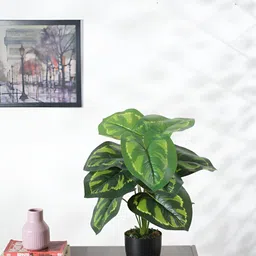 Home Bloom Green Rubber Artificial Plant With Pot-34