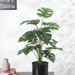 Home Bloom Green Palm Artificial Plant With Pot-image-70