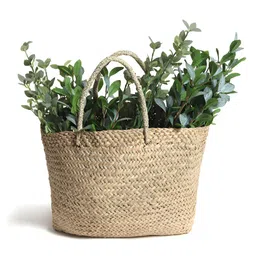 HABERE INDIA Green 1 Pieces Artificial Plant-image-69