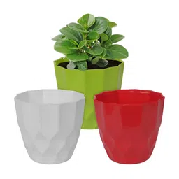 Kuber Industries White & Green 3 Pieces Flower Planters-49