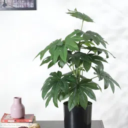 Home Bloom Green Palm Artificial Plant With Pot-image-73