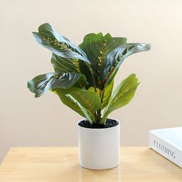 UMAI Green Artificial Plant With Pot-15