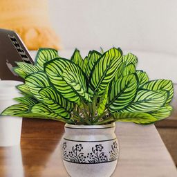 ARTSY Unisex Green Morning Glory Artificial Flowers &  Plants-image-11