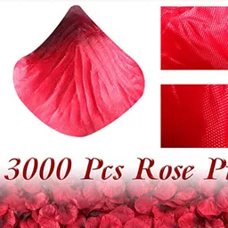 BS AMOR 3000 Pcs Red Rose Petals Artificial Flower-37