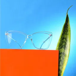 HAUTE SAUCE by  Campus Sutra Women Clear Lens & White Cateye Sunglasses SUM23_HSSG1072-picture-20