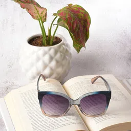 HAUTE SAUCE by  Campus Sutra Women Cateye Sunglasses with Polarised Lens SUM23_HSSG1151-image-61
