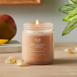 Aromatic Fables Orange-Colored Amber Scented Round Glass Jar Candle-image-90
