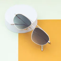 Ted Smith Wayfarer Sunglasses with UV Protected Lens TREXY_C2-36