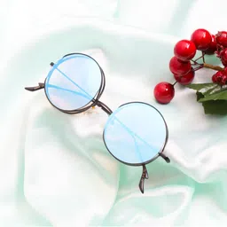 Ted Smith Round Sunglasses with Polarised and UV Protected Lens TWORND_C4-27