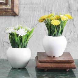 foliyaj Plastic Green Thin Long Leaves White And Yellow Gerbera Flowers With Pot Set Of 2 Artificial Plants-picture-31