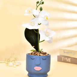 tayhaa Orchids Blue & White Ceramic & Plastic Artificial Plant With Pot-picture-43
